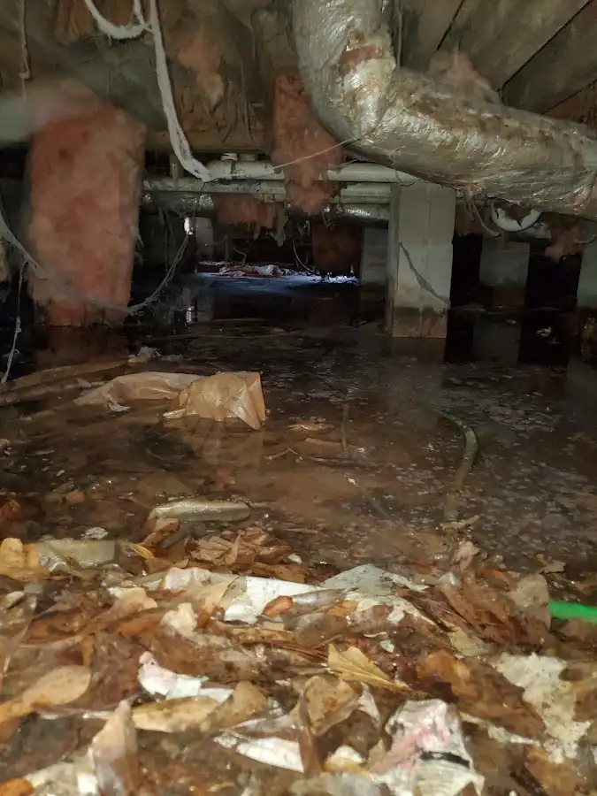 Crawl space flood assessment for Leak Detection & Repair in Frankfort