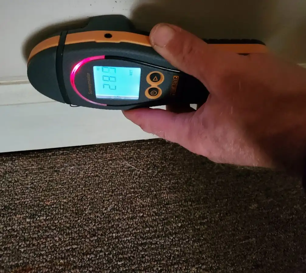 Moisture detection at baseboard during Mold Inspection & Testing in Frankfort